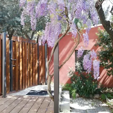 Apartment Confortable Dans Villa, Terrasse, Clim Montpellier